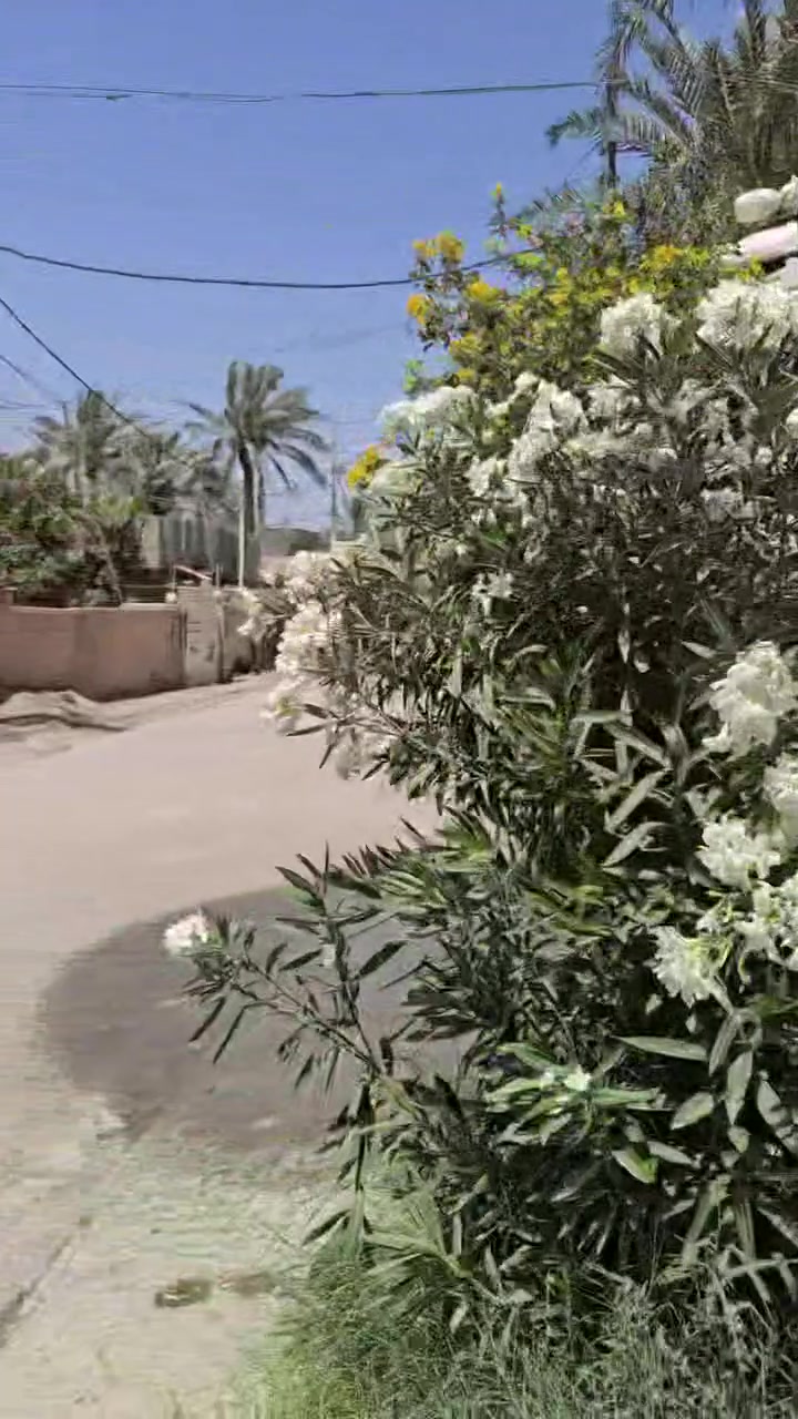 #للبيع 
للبيع مشتمل طابو ملك صرف مساحه بالسند ١٠٠ متر واقع حال ٩٠ متر 🍁🍁🍁

واجه ٤.٥ متر🍁🍁🍁
نزال ٢٠ متر 🍁🍁🍁
شارع ١٠ متر تبليط 🍁🍁🍁
يبعد عن شارع حله بغداد ٥٠ متر 🍁🍁

تتوفر فيها جميع الخدمات السكن 🍁🍁

يتكون الشتمل من طابق واحد 🍁🍁

البناء طابوك والسقف صب مسلح 🌇🌇

باقي التفاصيل موضحه في مقطع فيديو والصور 📷

الموقع بابل قضاء المحاويل منطقة البدع مقابل معمل زمزم 🌇🌇

💸السعر ٤٥ وبي مجال 

☎️☎️☎️☎️☎️☎️☎️☎️☎️☎️☎️
للإستفسار اكثر او معرفة السعر النهائي يرجى مراسلتنا او الاتصال على الارقام التاليه او زياره #مكتب #عقارات #اراضي #المحاويل الكائن في ١٧ قرب روضة ساندي بيل ☎️  *********** ☎️  *********** حسين أبو شمس
