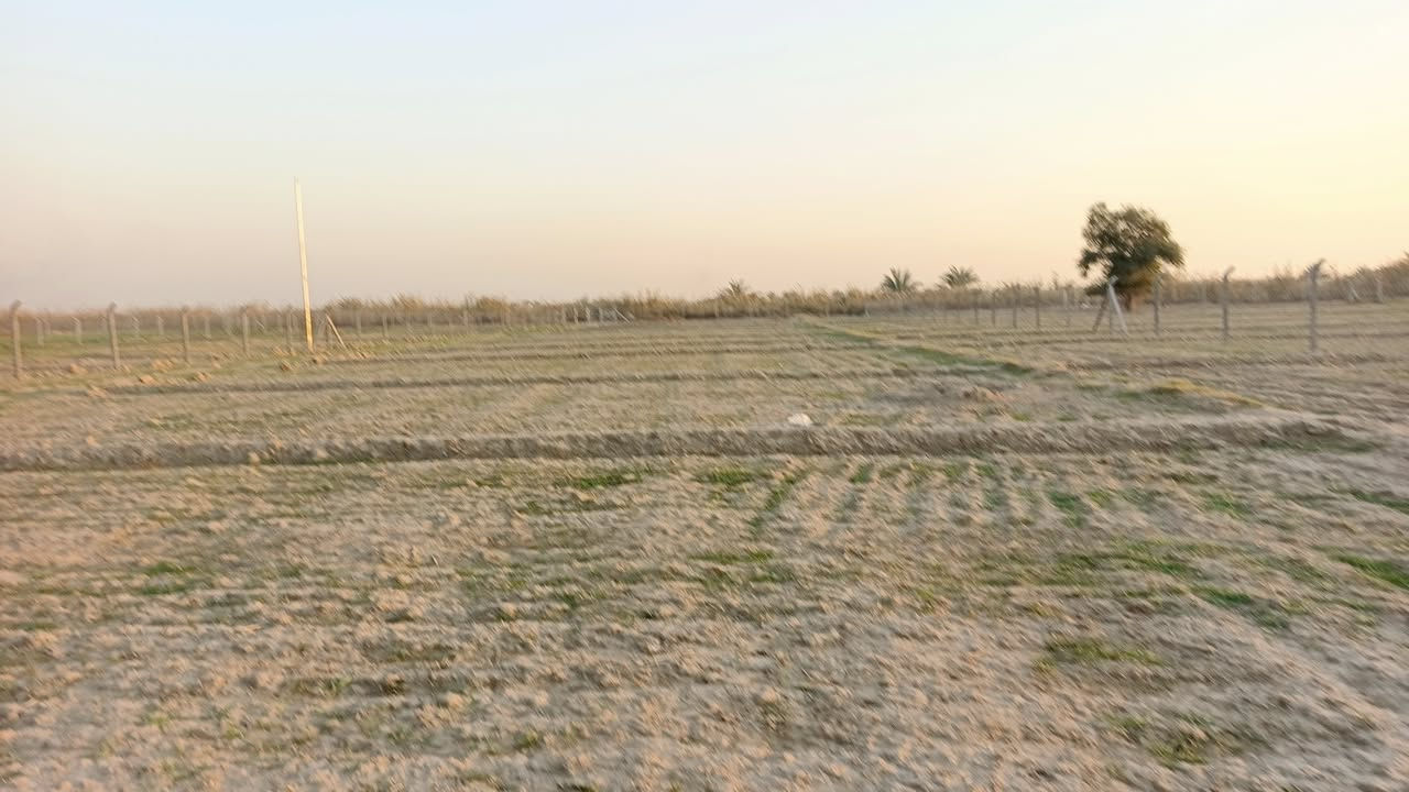 يا الله سلام عليكم دونم البيع طابو سند ٢٥ خدمات كامله العنوان المدائن منطقة جعاره الاستفسار اتصال برقم ***********
