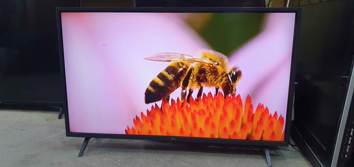 تەلەڤیزۆنی LG سمارت HDR قەبارە 43
مۆدێل LM 6300PVB سەتەلایتی تێدایە
نرخی 160000 لە هەولێرە پەیوەندی بکەن
بە واتساپ و ڤایبەر *********** أربيل, العراق
