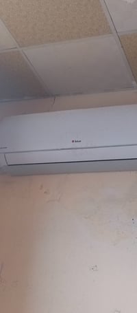 سبلت • مستعمل شهر • طنين