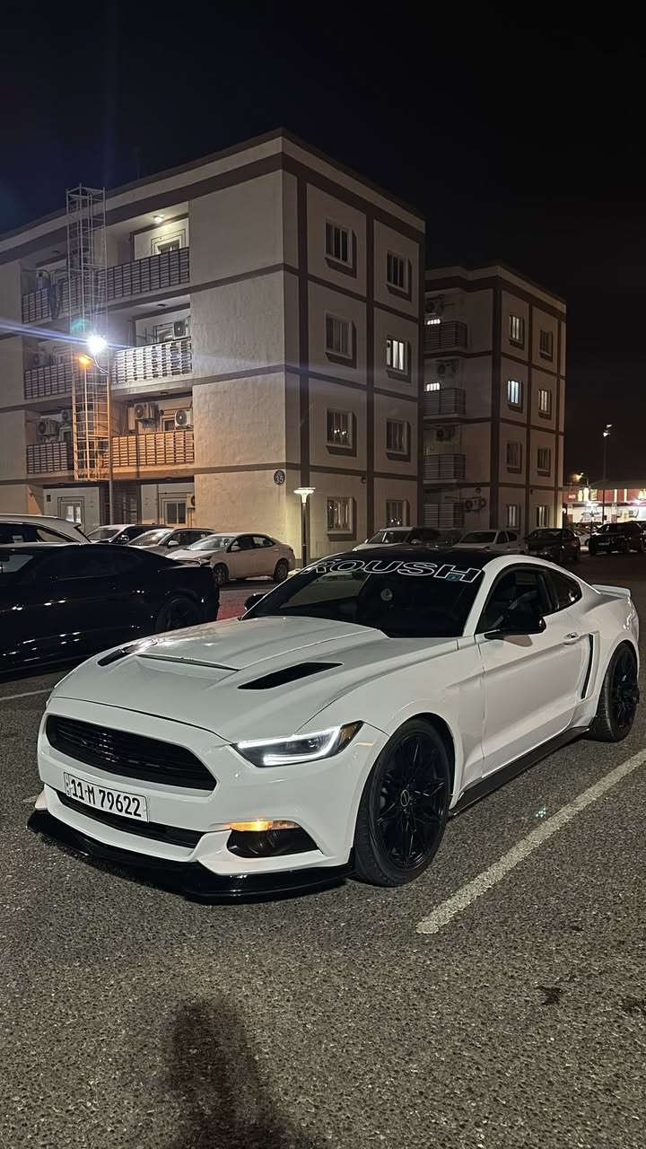 موستنك روش اصل v6 قطعة من اصل 3قطع بالعراق
موديل 2015
ماشية ٧٠ ميل
السيارة بيها قطع رش ابيع حزام
عليها شاشة sync3
عليها سستم انارة دواخل مال مارسيدس
عليها انارة دكتات
عليها انارة متحركة دشبول
عليها انارة بيبان وجوة الدشبول (بريميوم)
عليها هود جيتي ستايل اصلي
عليها منضومة زينون
عليها دركة جديدة مال موديل 23
عليها قبغ مري باتمان
عليها قبضة كَير عادي
عليها لحية روش اصلي
عليها دوسات جانبية روش اصلي
عليها سكوبات جانبية روش اصلي
عليها سكوبات جاملغ روش اصلي
عليها سبايدر روش اصلي
عليها دفيوزر هينسي 3 قطع هو واضافيتة عليها لحية سيرفيني عليها اوركل لد لون احمر
عليها شفتات ستيرن كاربون فورجيد
عليها بك لايت سموك اصلي مال موديل22
عليها شبابيك C.S
عليها مازدات هينسي اصليات
عليها تخم تاير بيرلي رن فلات اصلي
عليها تخم ويالة مالموديل 24 تو سايز حجم 20
التزويد الي عليها
اكس بايب روش
داون بايب روش
دبات روش
بوابات تحكم شغل علي الوادي
مدرز لونك تيوب روش
اكسل تراك بكج 3.55
عليها برمجة طلال مركز فوربرذر
عليها منضمومة تبريد جديدة بالكامل
عليها ادامة كاملة للمحرك بلكات ريسنك
عليها طلقات وكتوف
عليها ادامة لمنضومة المي جديدة
السيارة هزة جديدة ورقم جديد
باسمي تحويل ثاني يوم
سيارة اي نقص مابيهة
مكاني بصرة
السعر 135 وبيه مجال بسيط
***********
