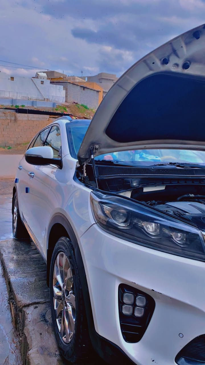 السلام عليكم 
للبيع سورنتو 2020 خليجي كفالة عامة ماشية 78 الف  رقم بغداد
بوضع الشركة  
فول مواصفات 
محرك 6 سلندر 
بانوراما 
شاشه جبيره
بصمة تشغيل وابواب 
صندوق كهربائي 
نظام ترحيب بالابواب 
كاميرا خلفيه
بردات خلفية بلادي  
حساس امامي خلفي 
تحكمات ستيرن
7 راكب 
وبقية المواصفات الفول بالسورنتو 
السيارة جديدة واستخدام شخصي قليل وبدون نقص جاهزة ومال جناي 
السعر 280 ورقة وبيهة مجال 
مكانها ديالى / الخالص 
للأستفسار .  ***********
