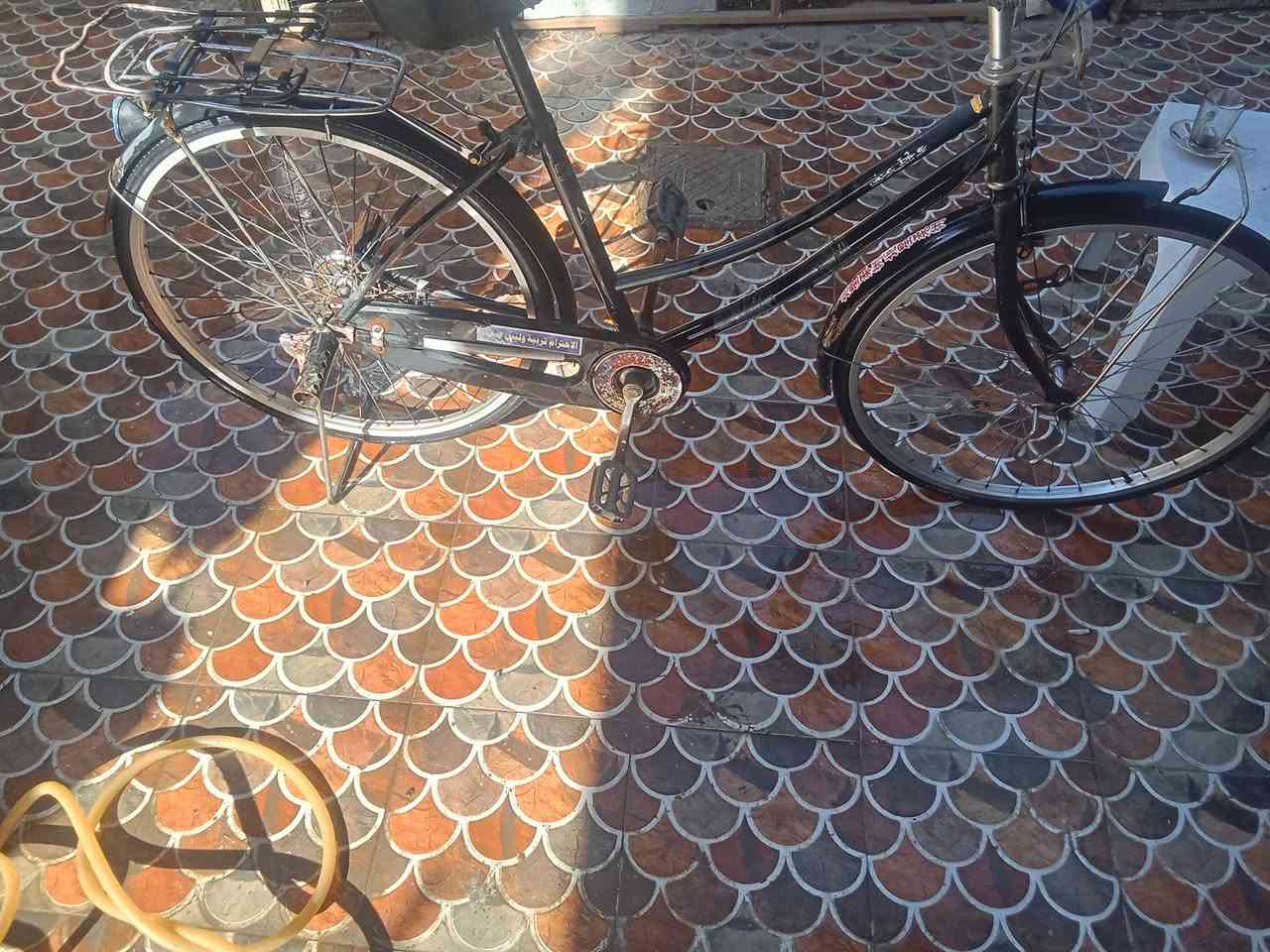 السلام عليكم بايسكل للبيع حجم ٢٦ نضيف شوفة عينك السعر ٧٠ بي مجال


**إذا كنت صاحب هذا الإعلان وتريد حذفه لأي سبب، رجاءا أرسل رسالة إلى الدعم الفني**