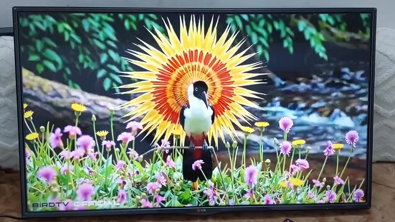 سلام عليكم شاشتين للبيع الجي 47 كوري اصلي نت السعر 250 الف وZoom  43 نت السعر 150 الف مكاني بغداد *********** واتساب
