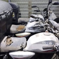 ٦ دراجات • ٣ مرقم • بدون اوراق