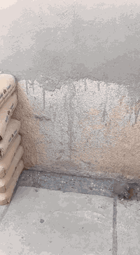 اسلام عليكم شغله تصعيد كافه مواد البناء والتطبيگ عله الضهر اتصل وبخدمتك *********** متفرغ حالين
