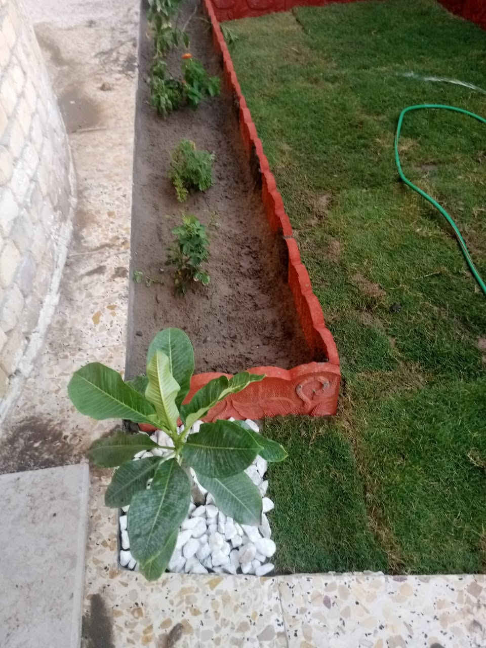 السلاام عليكم صادق القريشي لعمل الحدائق المنزليه بناء المقرنص وعادت نضام الحدائق المتروكه وتجهيزها باندر انواع الورود والثيل الاستفسار الاتصال على الرقم *********** متواجد فيس واتساب
