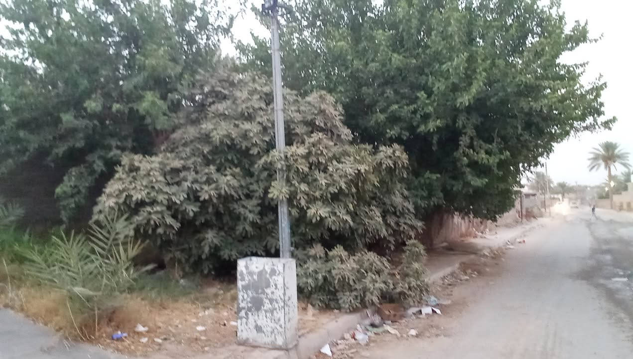 دار سكن للبيع في قضاء حديثة _ وادي الخمسة 

المساحة الكلية ١٠١٥ م طابو و ٩٨٥ م غير مسجل و من ضمن سياج الدار 

المحتويات 

ديوان ٩ × ٤ 

هول ٥ × ٤

ثلاث غرف نوم ٥ × ٤

مطبخ داخلي و خارجي ٥ × ٤

صحيات داخلية و خارجية 

بستان مثمر من فواكه و نخل 

ثيلة كبيرة امام الدار 

السقف شيلمان  ، الارضية صبة ناعمة 

السعر / ٥٥ مليون قفل

يرهم مراوس في سيارة موديل حديث

مكتب ابو احمد الحديثي للعقار 

عنوان المكتب / الانبار / قضاء حديثة / سوق الحي العسكري / قرب اسواق ابو حسين للغذائية 

استاذ هشام    ***********

رائد               ***********
