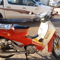 سلفيز للبيع للإستفسار خاص 07807191886 الا مو شراي لي يتصل