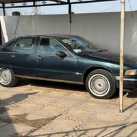 دولفين • ١٩٩١ • كركوك