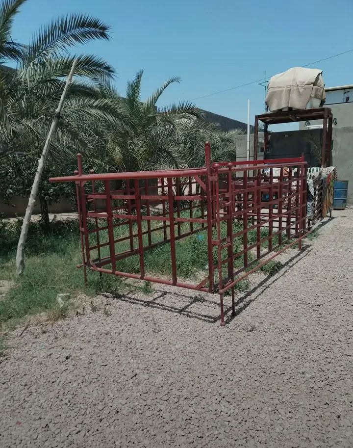 سلام عليكم محجر كيا فحل للبيع تسكام جديد مابي كل خياس السعر الاتصال على الرقم *********** المكان نجف
