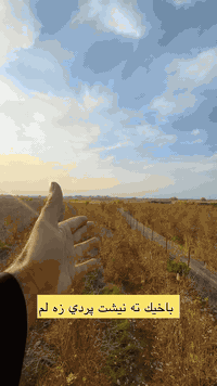 باخ بؤفرؤشتن 
٨ دؤنم هه يكه ليكي تيا كراوه ته وه 
كامل سياجو ترتيبات 
ژم:***********
