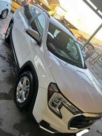 تيران • ٢٠٢٢ • تبديل وصبغ