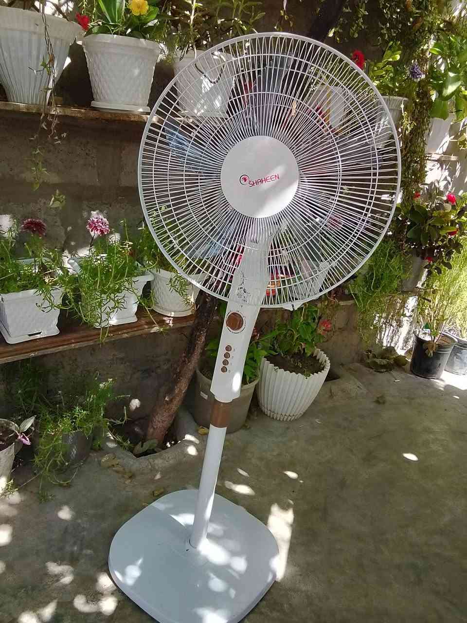 بێ عەیب و جوانە بای 10 هەزارە
***********
