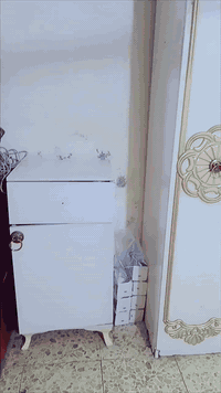 غرفه تركي نضيف ملكي ✅
6قطع✅

مكان مدينه الصدر قطاع 12داخل  
سعر 500وبيها مجال قليل ***********
