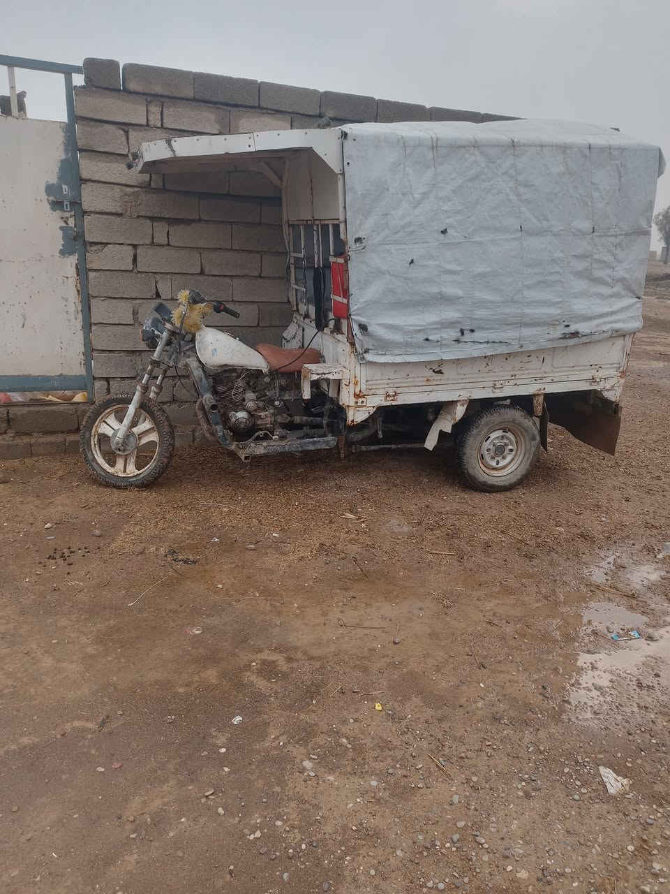 ستوته للبيع السعر 350


**إذا كنت صاحب هذا الإعلان وتريد حذفه لأي سبب، رجاءا أرسل رسالة إلى الدعم الفني**