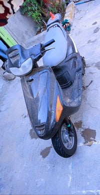 فراشة • نظيفه • ديوانيه