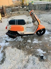 ماكس بوليس • موديل١٣ • كفالة