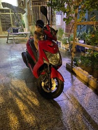 سكنس فحل • ياباني • ١٤٠