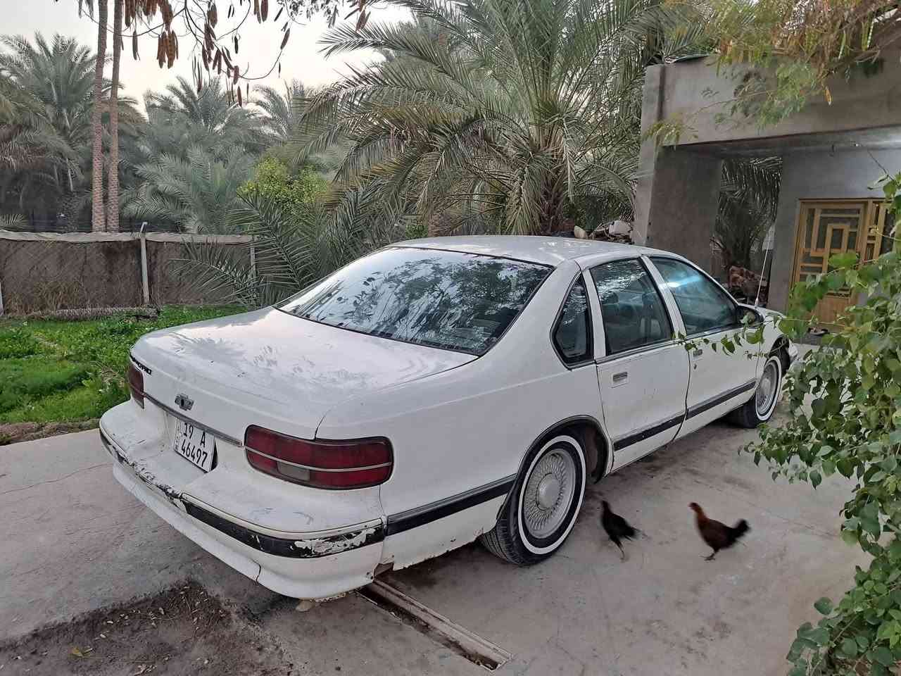 دولفين موديل ٩٤ رقم كربلاء انكليزي مشروع وطني سنويه لل٣٠ تحويل ثاني مكينه ٣٥٠ كير ١٠٠٠ مكينه وكير خير من الله مصبوغه جماليه تراي وين مايعجبك دواخل كلش نضاف كهربائيات عامه شغاله سعرها كلش مناسب ٢٢ وبي مجال قليل *********** مكاني كربلاء
