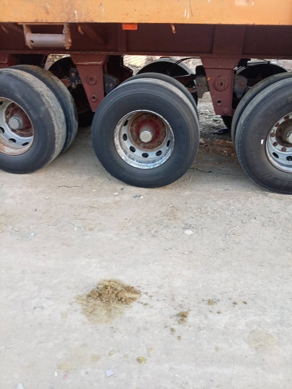 عربانه فلات بلوم للبيع عربانه مكفوله كسر وفطر كهربائيات كامل عربانه ٣ محاور دناكير ١٤ ألماني مربع مكان العربانه واسط سعر ٨٥ 
***********
