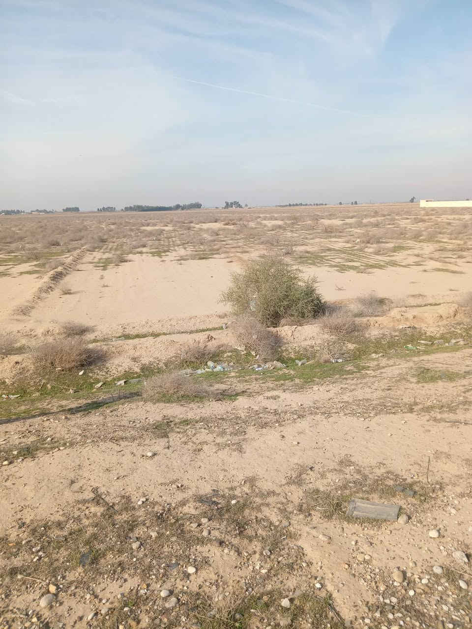 سلام عليكم أرض للبيع مساحه 36 دونم علاه شارع العام السياحي بغداد بعقوبه الوجه 300 ونزال 320 صالحه السكن والاستثمار وباقي المشاريع السعر كلش مناسب لاستفسار تصل على هذه الرقم ***********
