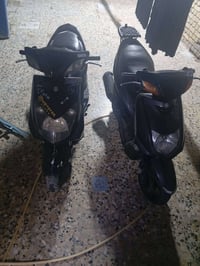 سكنس فحل • نثية • نضيفات
