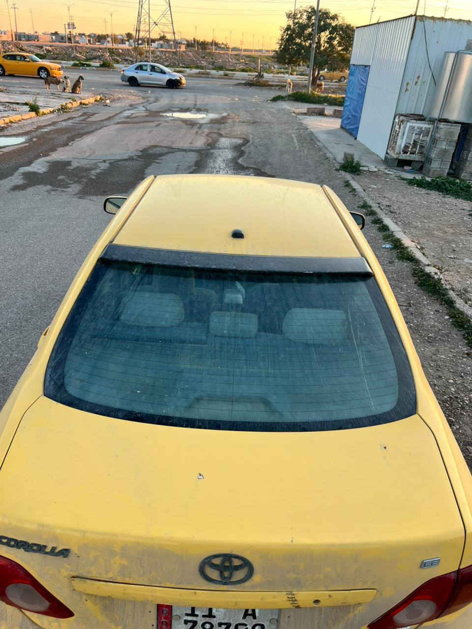 السلام عليكم للبيع كورلا موديل ٩ ضرر اهلال جاملغ خلفي فقط بس شرط فحص كله عله بلاد  لبيل واحد كله كير محرك جديد مال موديل ١٧ تبريد ثلج سياره رقم بغداد بسمي سنويه الحد ٣٠ منظومه غاز 
مكان ديالى خانقين ***********
(مااكتب سعر ابكيفي شراء يتصل ابخدمتك ماتفيدك اعبر  امنشور)
