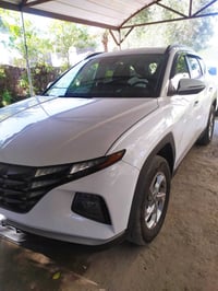 توسان ٢٠٢٤ • مكفوله صبغ • بدون رقم