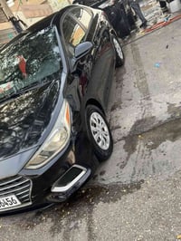 اكسنت ٢٠١٩ • وارد امريكي • باب الصدر