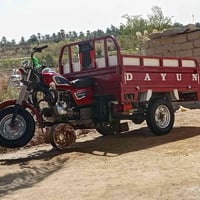 ستوته كامله مانقصه شي اوراق سعر خاص 07853989552