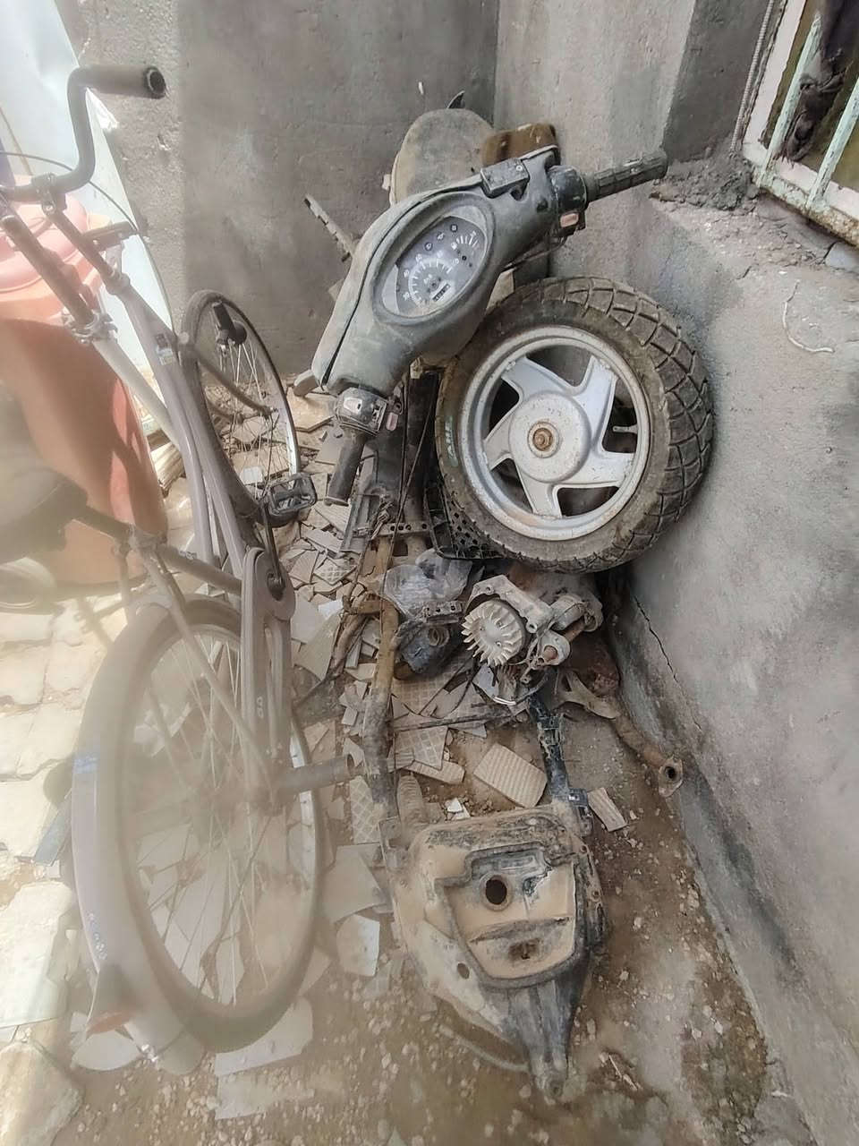 دوالفين البيعه مفصخه دراجه مكينته عوزه تجفيته وسعر مناسب


**إذا كنت صاحب هذا الإعلان وتريد حذفه لأي سبب، رجاءا أرسل رسالة إلى الدعم الفني**