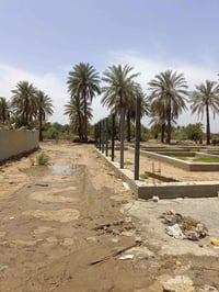 قطعة أرض • ٣٠٠م • خلف البعاشور