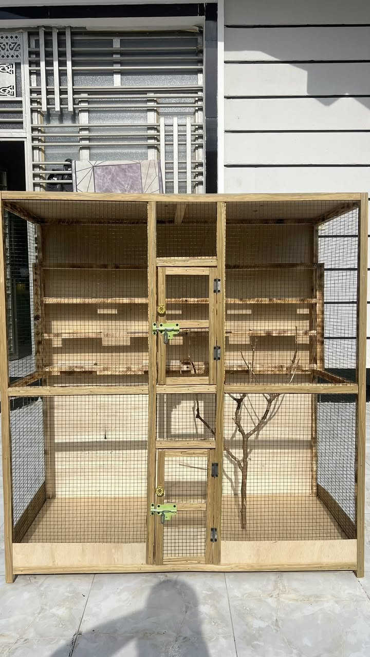 قفص بلابل حب او طيور  طلب خاص يتحمل 28واحد  شغل مرتب ومتانه عاليه الشغل درجه اولى  قياساته 
ارتفاع 130
نزال 60
عرض 120
مستعدين لعمل كافه الاقفاص والخانات والابراج حسب الطلب والقياس الشغل مضمون 
للحجز والاستفسار راسلونه عله الوتساب 

‭+964 771 410 4943‬
او للاتصال على ‭+964 771 073 3832‬


**إذا كنت صاحب هذا الإعلان وتريد حذفه لأي سبب، رجاءا أرسل رسالة إلى الدعم الفني**