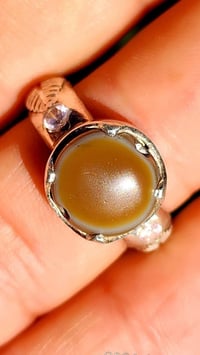 الجميلة • اكسسوار