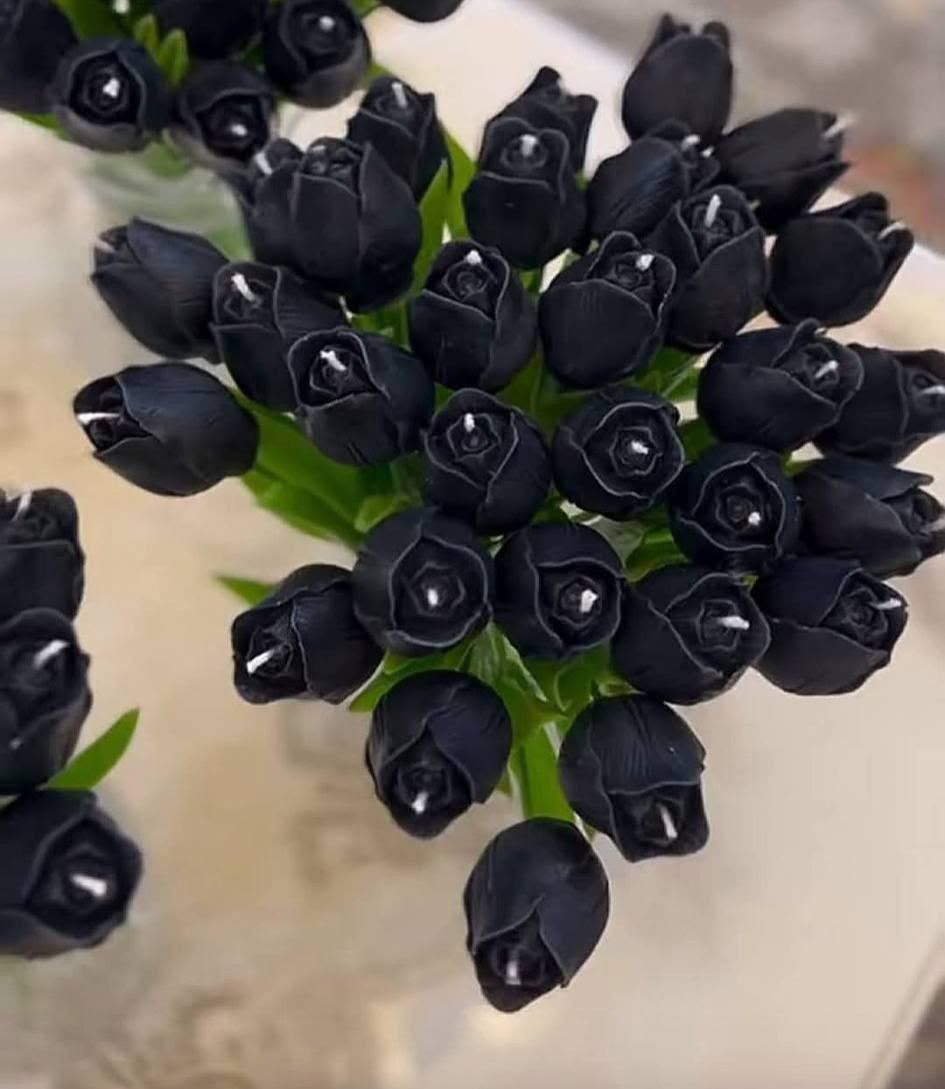 🌷🕯️ توزيعات شموع التوليب المعطرة 🕯️🌷

أضيفوا لمسة من الأناقة والرائحة العطرة إلى مناسباتكم مع شموع التوليب المعطرة، المصنوعة بعناية لتكون هدية جميلة وتوزيعة مميزة.

✨ عطور فواحة وثابتة
✨ تصميم أنيق مستوحى من زهرة التوليب
✨ تغليف راقٍ
✨ مناسبة للهدايا والتوزيعات والمناسبات الدينية والاجتماعية
✨ تنفيذ حسب الطلب

لأن التفاصيل الجميلة تبقى في الذاكرة... صُممت شموعنا لتمنح كل مناسبة لمسة خاصة.

📩 للحجز والاستفسار عبر الرسائل.

#شموع_التوليب
#شموع_معطرة
#توزيعات
#توزيعات_النجف
#شموع_النجف
#هدايا_النجف
#نور_وورد
#هدايا
#صناعة_يدوية
#النجف_الاشرف
#العراق
#najaf
#iraq
#اكسبلور_العراق
#fyp_iraq


**إذا كنت صاحب هذا الإعلان وتريد حذفه لأي سبب، رجاءا أرسل رسالة إلى الدعم الفني**