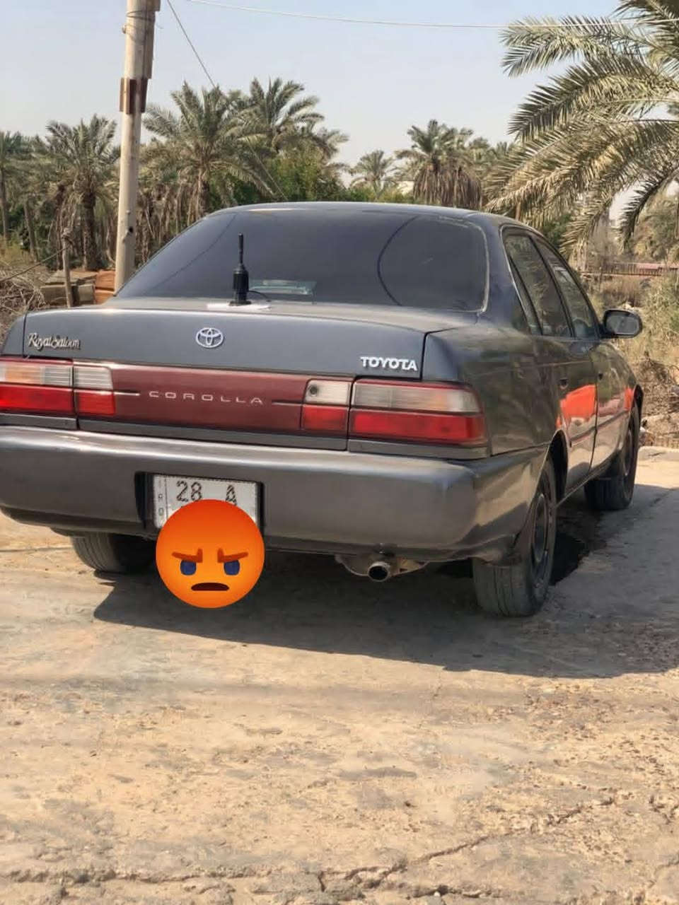 كورلا للبيع ٩١ مكفوله كص ونقل من ضربه رقم جديد سنويه 31 هزه جديده
 مكان السياره ميسان السعر 46
***********
