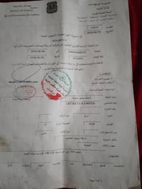 مكفولة • شاصي ركبه • ٢٠٢٠