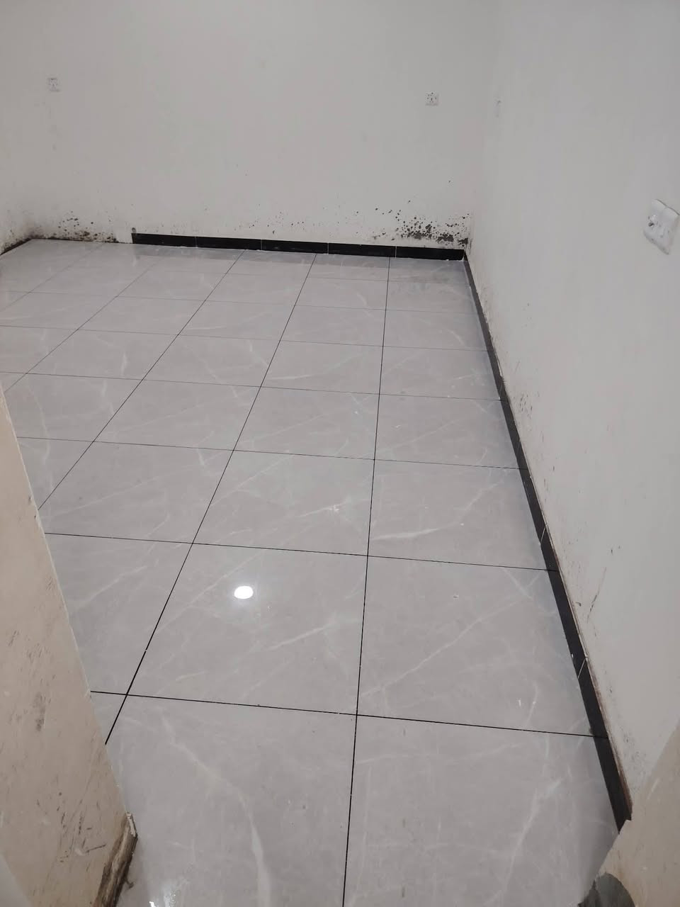 مكتب الرحمن للسيراميك
تركيب سيراميك • بورسلين • مرمر
✔️ دقة بالمواعيد
✔️ سرعة بإنجاز العمل
✔️ شغل احترافي وضمان جودة
✔️ أمانة وإتقان
خدمة مرافقة الزبون لشراء المواد
 واتساب 
***********
***********
كادر خلفات نشغل بسعر مناسب وشغل احترافي
