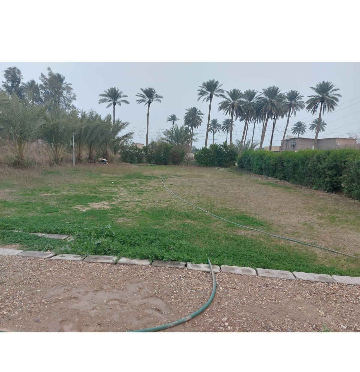 السلام عليكم
دونم ونص البيع مكان اليوسفيه ديريه ام محار منطقه البعامر
تحتوي على دار مع مشتمل
كافت الخدمات من ماء وكهرباء و شارع تبليط
*********** واتساب
