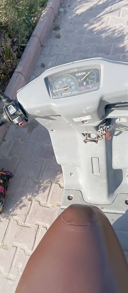 للبيع فول نضيفة نكرة سلف سلتها موجودة مكان بغداد.٤٠٠ق   م صدر ***********
وتساب فقط
