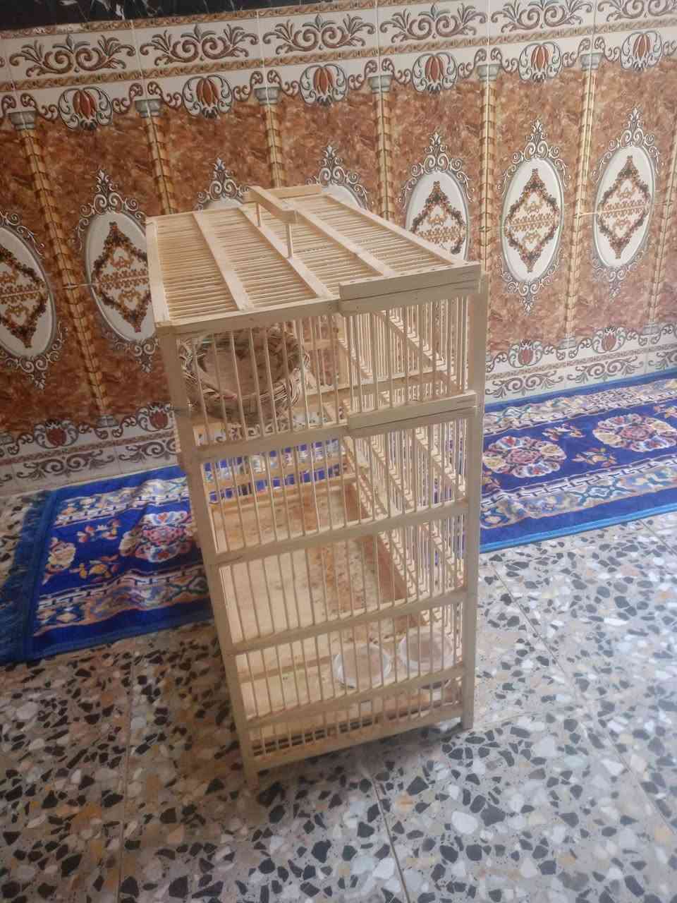 سلام عليكم شباب من رخصت مدير الكروب قفص تبزير بلابل سعره 50


**إذا كنت صاحب هذا الإعلان وتريد حذفه لأي سبب، رجاءا أرسل رسالة إلى الدعم الفني**