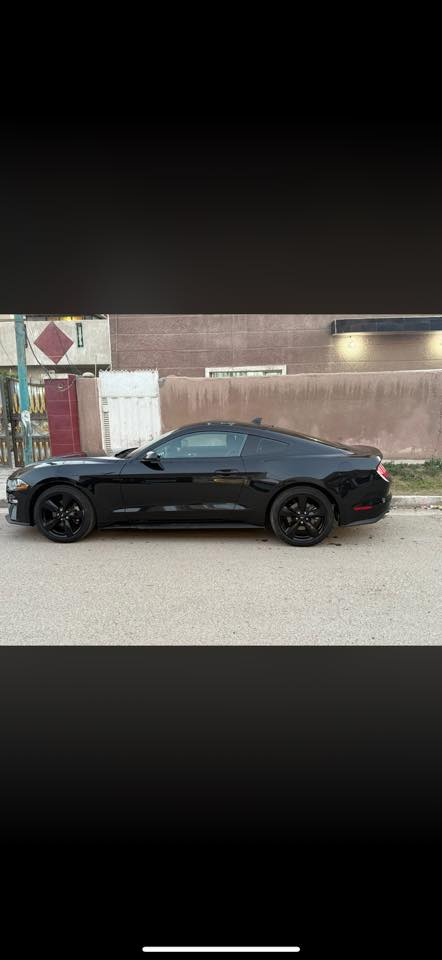 موستانج 2023 standar بيع  او مرواس حسب الرغبة
‏ EcoBoost 2.3 

رادار امامي 

شاشة كبيره 

كاربلاي 

تحديد مسار 

ماشيه 14 الف

السياره رقم كاتي ورقمته ب اسمي 

حادث الجاملغ الايمن وراجع نفسه 

الجاملغ الايسر بارد بي على كد شبر 

مكفوله من شواصي ولغود والبدنه 

الايرباكات مكفولات سليمات كلهن 

السياره صفر مسج نضيفه ومتحتاج شي 

السياره ماشيه فقط 14 الف 

للاستفسار ***********
