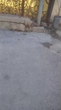 ٣ نوم • ١١٠م • مرمم جديد