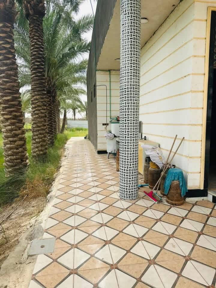 السلام عليكم (بيت للبيع مساحه البناء 350 متر  طابو سند 25 وطارمه كبيره وكراج كبير للسياره بناء حديث 2020 صب كونكريت درجه اولى يحتوي على مطبخ وصاله و3غرف نوم واستقبال وصحيات خارجيه وداخليه وبيتونه كبيره 

(ملاحظه)
 
البيت وياه مشتمل صغير يحتوي على مطبخ وصاله وغرفه وصحيات )
اضافه الى دونم   ارض زراعيه  
المكان بابل القاسم (ع) 
 شارع الطابو  قريب على مدرسه الشهيد المنتضر 
للاستفسار ***********
