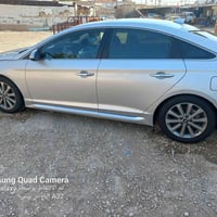 ويل سوناته ١٧ • مراوس بويل خليجي • نجف