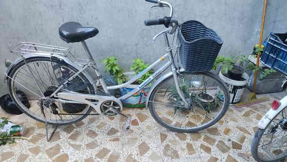 للبيع
عبدالحليم 
حجم 26
بلادي بلكامل 
كلو شغال 
سعر 85 الف
***********
