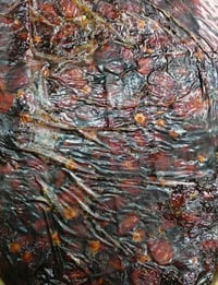 تمور • اشويثي اسود • سبع اذراع