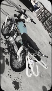 شباب هاي درجه تايكر ٢٣كفاله عامه   سعرها ٥٥٠بيه مجال   هاذ رقمي 077835...