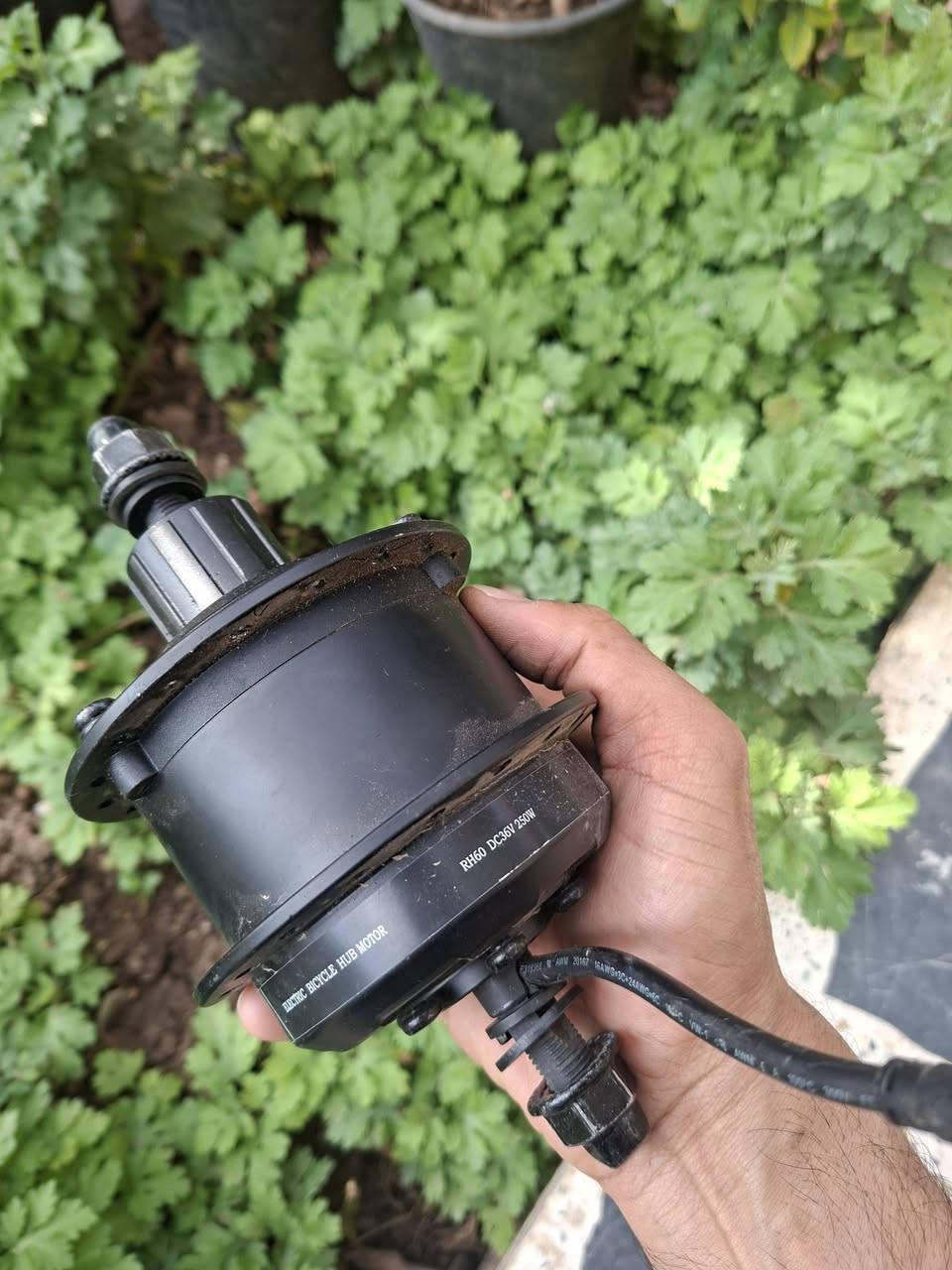 ملف بايسكل شحن ٢٥٠ وات جديد ٢٥ الف
@highlight


**إذا كنت صاحب هذا الإعلان وتريد حذفه لأي سبب، رجاءا أرسل رسالة إلى الدعم الفني**